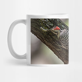 Ladder-Backed Woodpecker and Caterpillar Mug